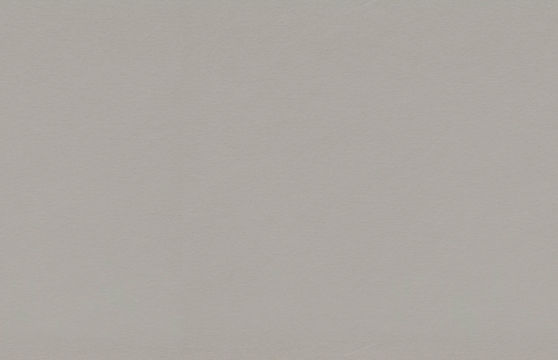 Серебристый матовый F765