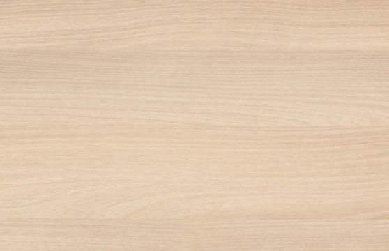 Акация Лейкленд H1277