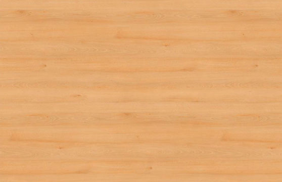 Бук луговой H1910