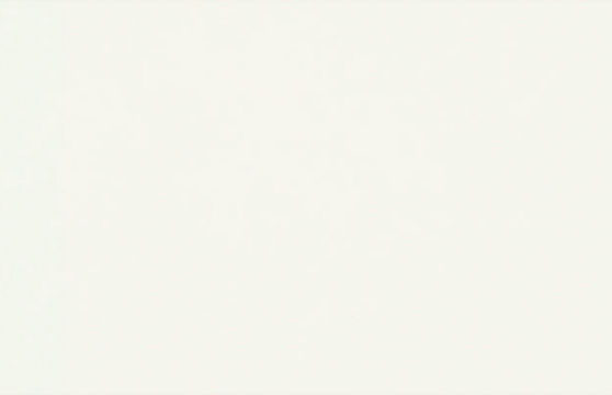 Белый классический гладкий W960_SM