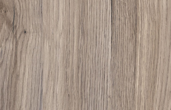 Дуб Маувелла